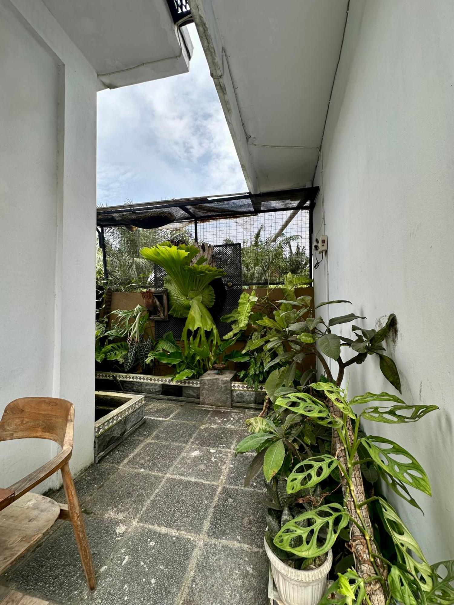 Rumah Kita Canggu Buitenkant foto